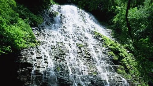 精密电子高性能